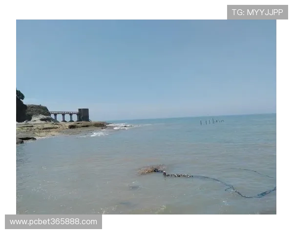 bet365 app网页版中如何安全存款与提现确保资金安全的实用技巧